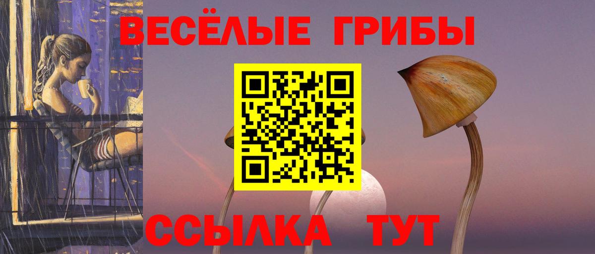 Псилоцибиновые грибы мухоморы Гатчина