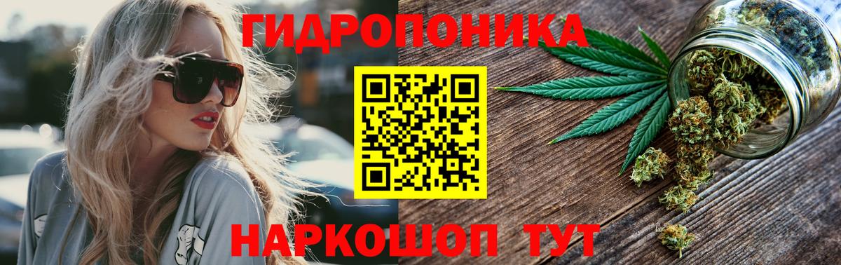 Канабис индика  Конопля марихуана  Гатчина  Вход с VPN  Марихуана SATIVA & INDICA 
